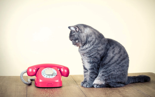 �1755318 �������(a): ����������:1920x1200